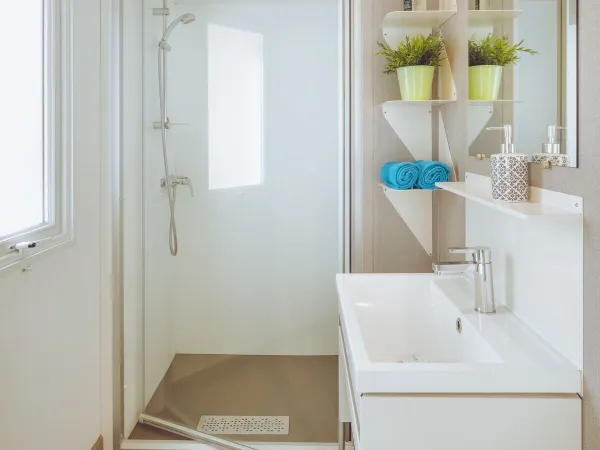 The Roan Premium Lounge bathroom with shower cubicle and washbasin with a cabinet.