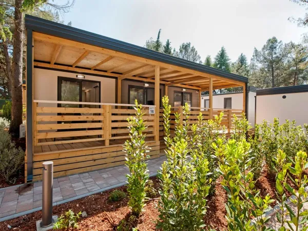 The Roan Comfort Plus Lounge.