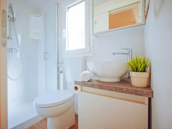 The Roan Comfort Plus Lounge bathroom with toilet.