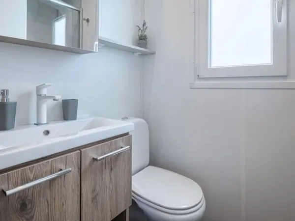 The Roan Premium Zone bathroom has spacious shower cubicle and washbasin.