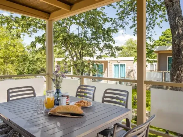 The Roan Premium Zone decking.