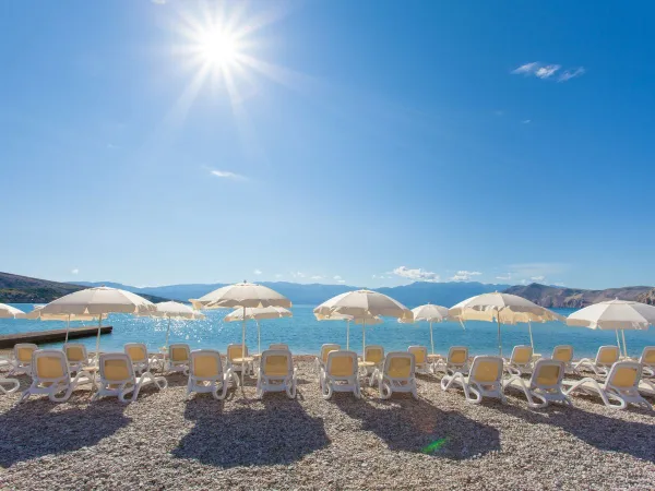 Sunbeds by the beach at Roan camping Baška Camping Resort.