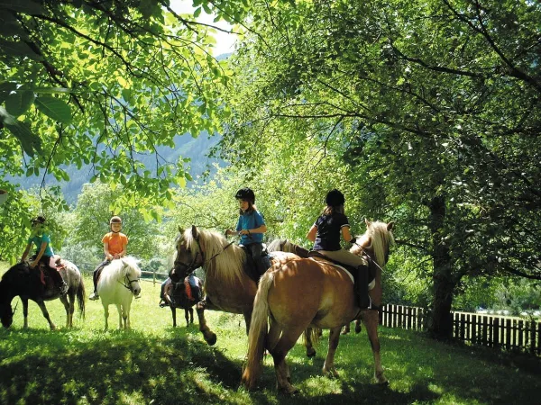 Horseback riding in the area at Roan camping Bella Austria.