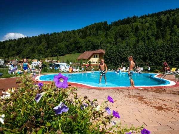 Overview pool of Roan camping Bella Austria.