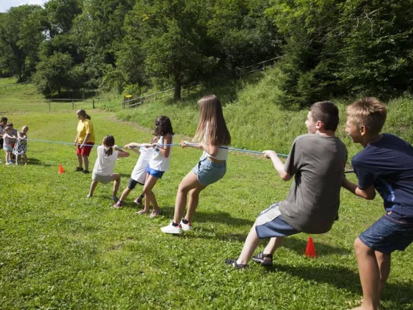 Tug of war at Roan camping Bella Austria.