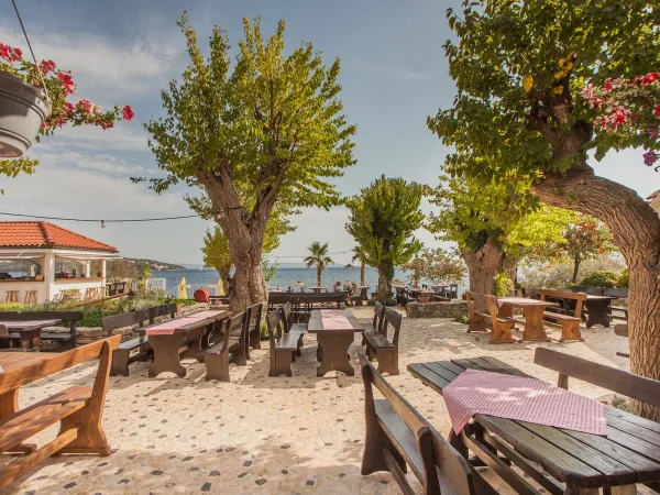 Atmospheric terrace at Roan campsite Amadria Park Trogir.