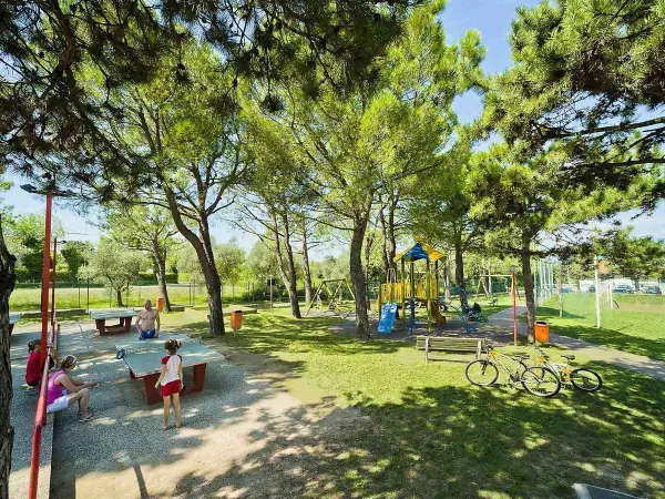 Playground at Roan camping Delle Rose.