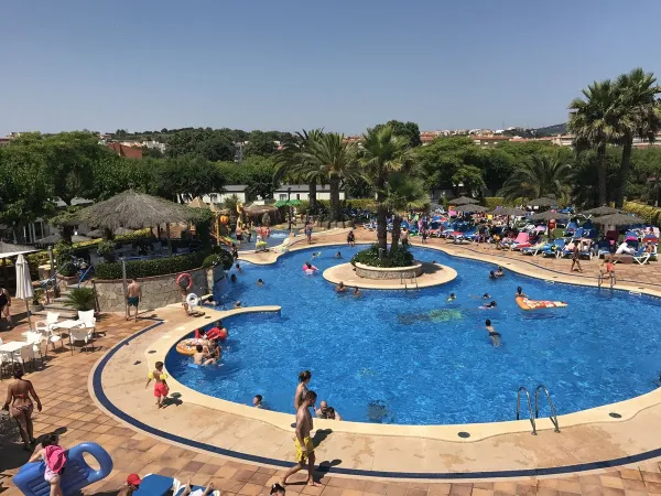 Lively swimming pool at Roan camping La Masia.