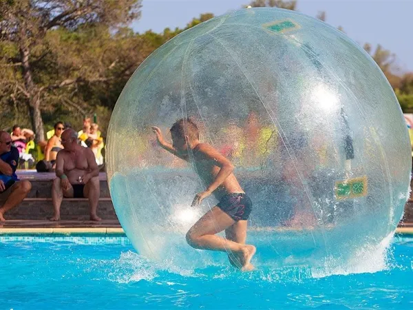 Water ball activity at Roan camping La Pierre Verte.