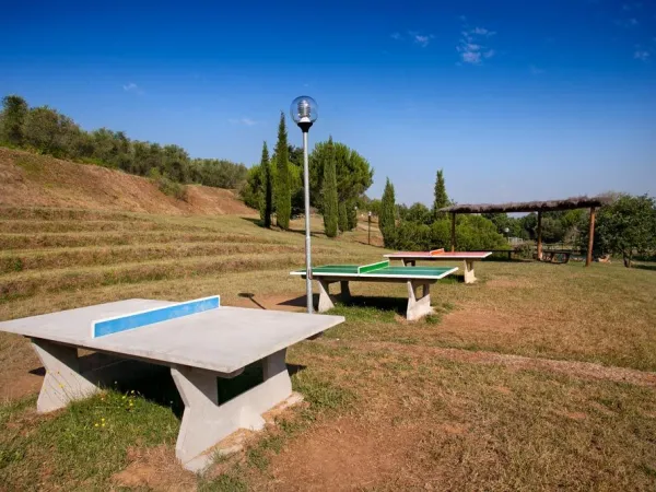 Table tennis at Roan camping Le Pianacce.