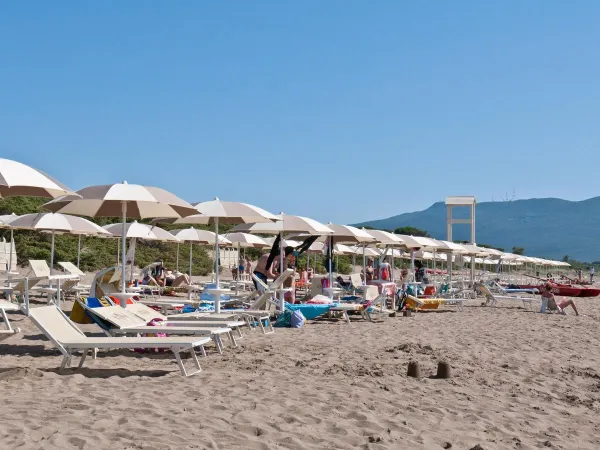 cozy beach near camping Orbetello.