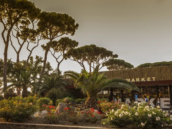 Supermarket at Roan camping Park Albatros.