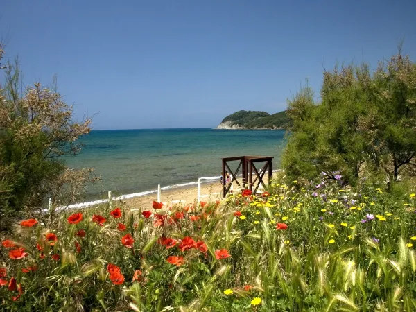 Beach and sea close to Roan camping hu Park Albatros village.