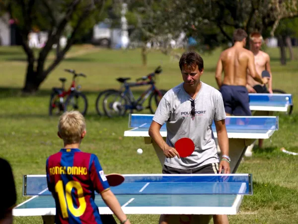 Table tennis at Roan camping Pra'delle Torri.