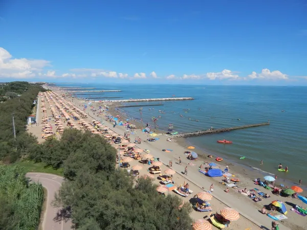 Beach with sunbeds and umbrellas at Roan camping Pra'delle Torri.