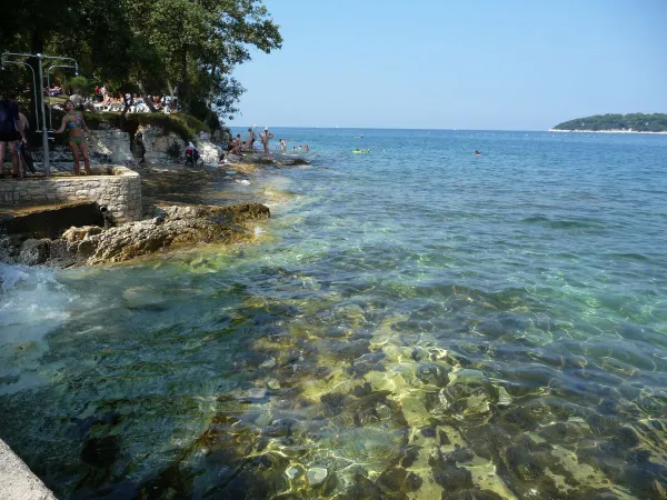 Clear sea water at Roan campsite Zelena Laguna.