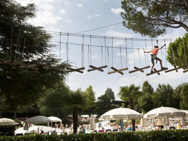 Tree climbing course at Roan camping Altomincio.