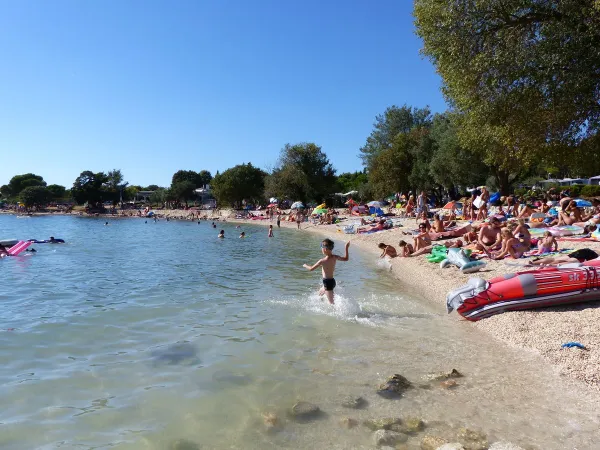 Lively beach at Roan camping Polari.