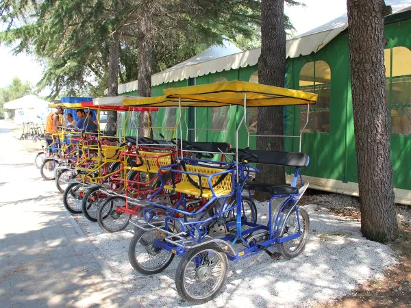 Four-wheeler rental at Roan camping Polari.