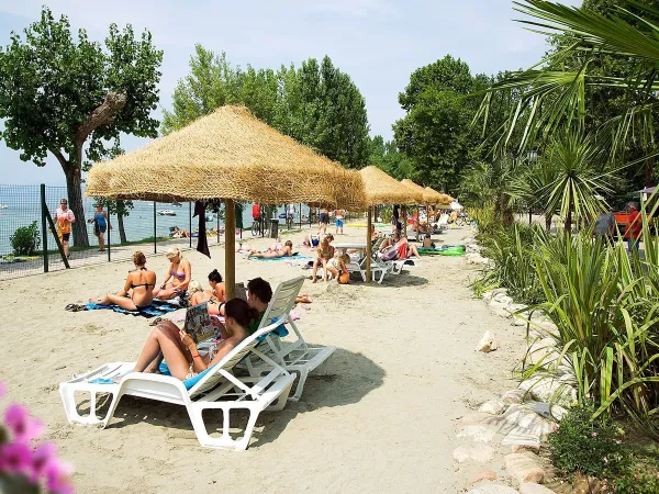 Sun beds and umbrellas by the lake at Roan camping Cisano San Vito.