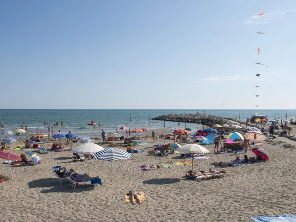 Lively beach close to roan camping Sant Angelo.