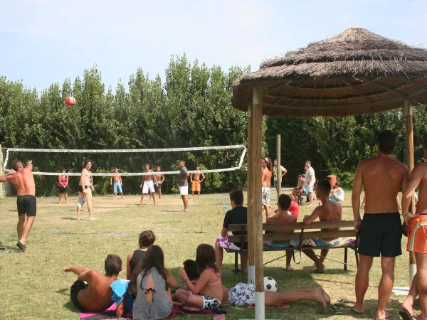 Volleyball court at Roan camping Tahiti.