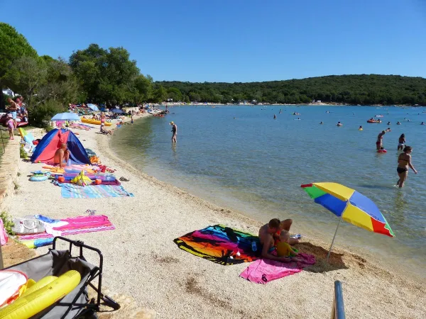 The beach at Roan camping Vestar.