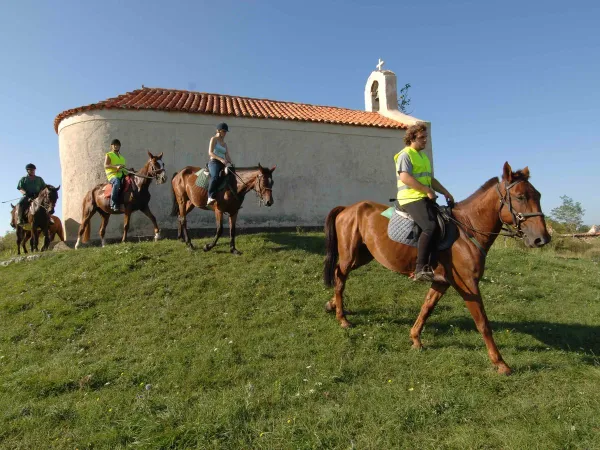 Horseback riding at Roan camping Zaton Holiday resort.