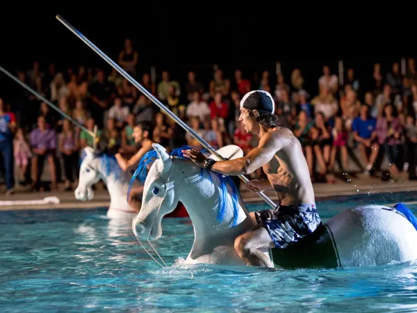 Show in the pool at Roan campsite Zaton Holiday resort.