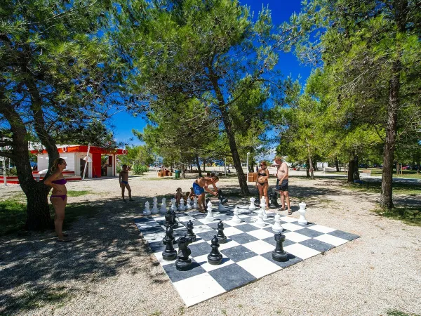 Big game of chess at Roan campsite Zaton Holiday resort.