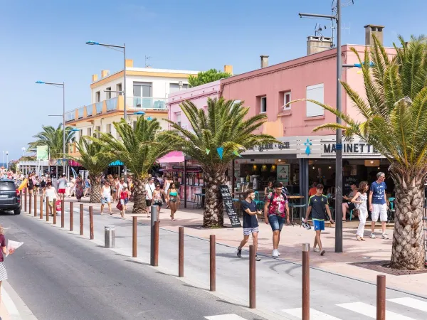 Street in the city of Perpignan.