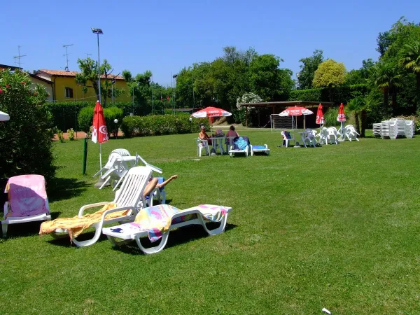 Grassy lawn by the pool at Roan camping La Rocca Manerba.