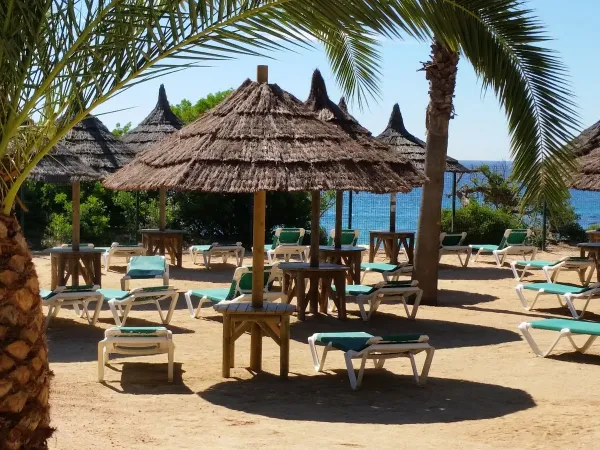 Sunbeds with umbrella at Roan camping Cala Gogo.