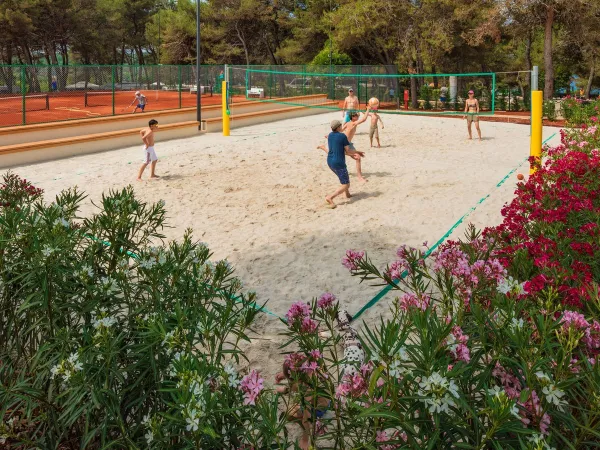 Playing volleyball at Roan camping Lanterna.