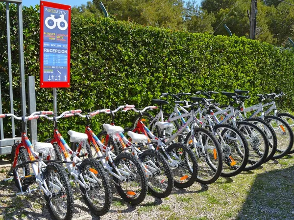 Bike rental at Roan camping El Garrofer.