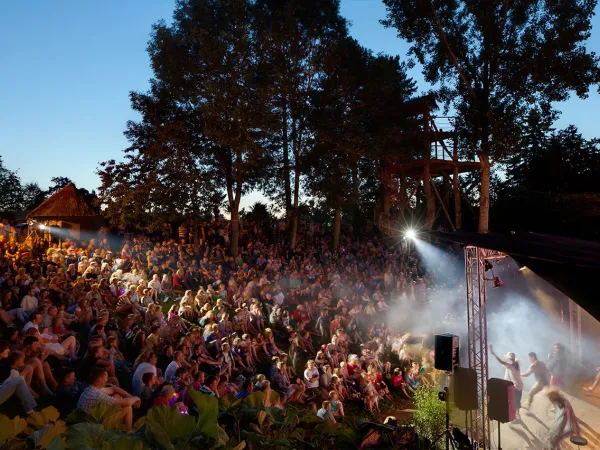 Cosy evening show at Roan camping des Ormes.