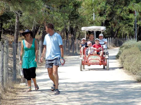 Family bike rentals at Roan camping Le Domaine du Clarys.