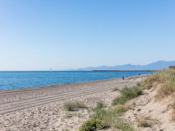 The beach near Roan camping de Canet.