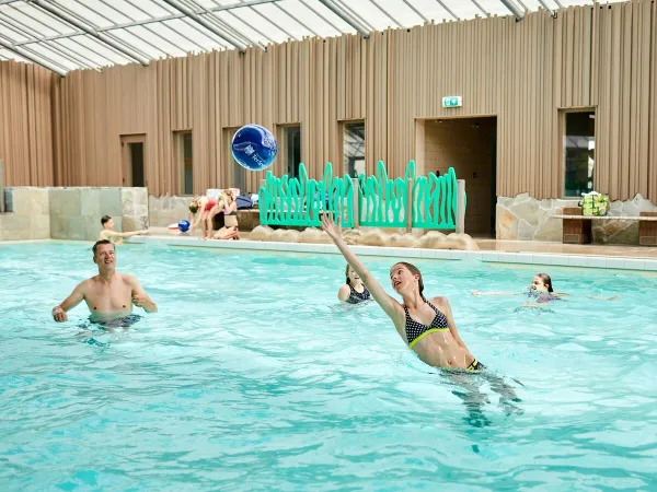 Indoor swimming pool at Roan camping Terspegelt.