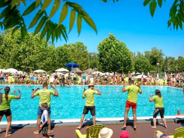 Swimming animation at Roan camping Le Pommier.