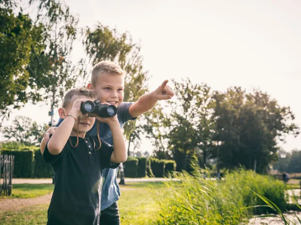 Spotting water skiers at the fishing pond at Roan camping De Schatberg.