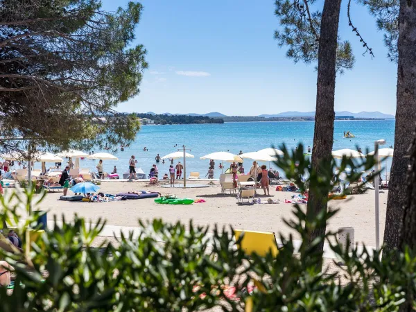 Beach and sea at Roan camping Zaton Holiday resort.