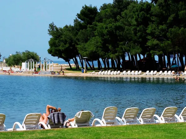 Sunbeds at the beach near Roan camping Stella Maris.