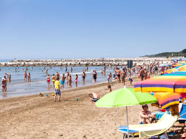 Lively beach at Roan camping San Francesco.
