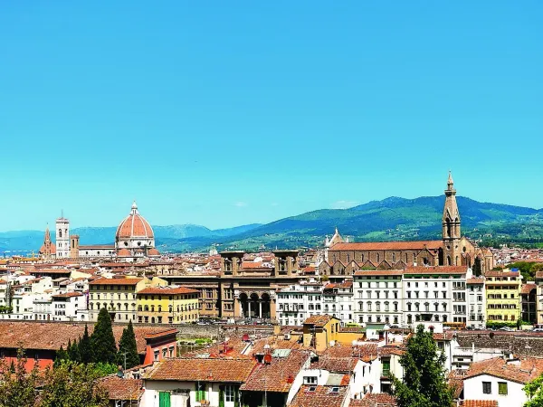 City of Siena close to Roan camping hu Montescudaio village.