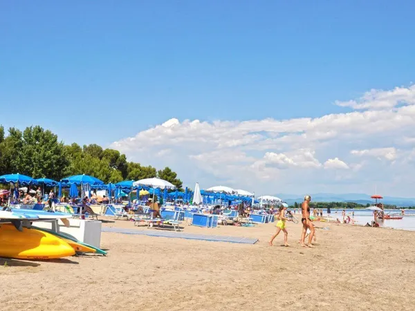 Beach at Roan camping Villaggio Turistico.