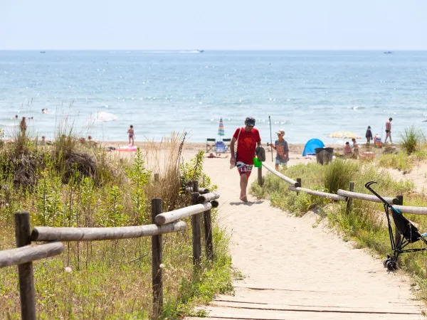 Walking path to the beach at Roan camping Ca'Savio.