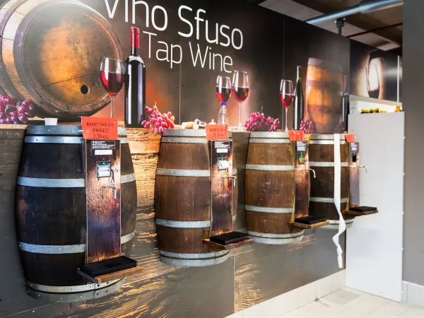 Wine barrels to tap local wine at Roan camping hu Altomincio village.