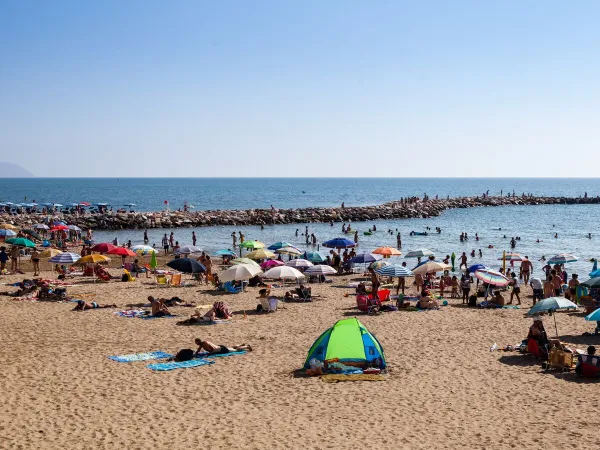 Beach close to Roan camping hu Park Albatros village.