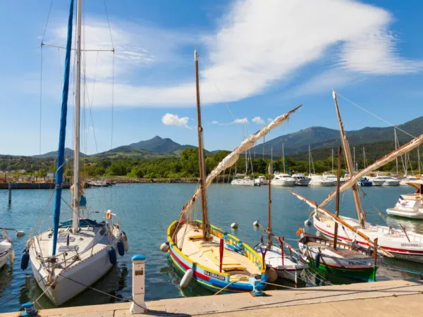 Small port near Roan camping La Sardane.